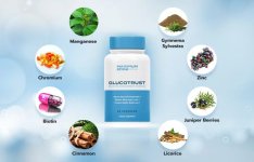 glucotrust-work.jpg