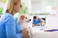 Online-consultation-with-veterinarian_FamVeld_Shutterstock.jpg