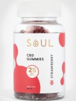 Soul  CBD Gummies.JPG