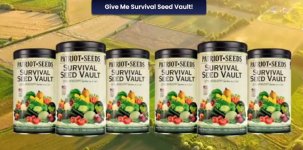 teddy-daniels-survival-seed-genesis-code-review-3 (2).jpg