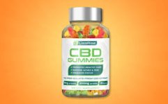 bliss rise cbd gummies 1.jpg