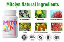 MitolynIngredients-1.jpg