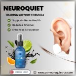 NeuroQuiet Official Website.jpg