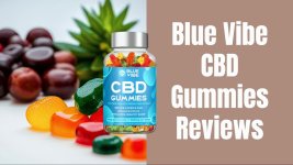 Blue Vibe CBD Gummies.jpg