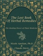 The Lost Book of Remedies.jpg