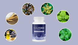 FlowForce-Max-Ingredients-1024x597.png