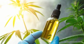 What-Is-Cannabidiol-CBD-scaled.jpg