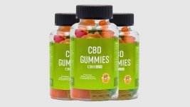 CBD Care Gummies.jpg